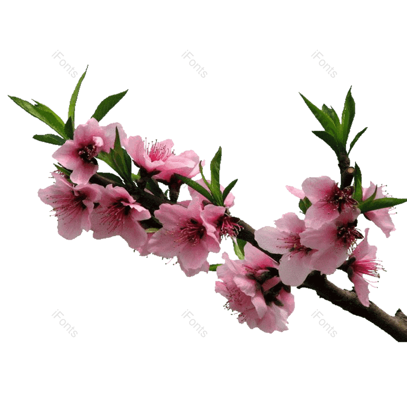 水墨图片,中国风元素,春节PNG,过年免抠素材
